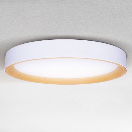 Brilagi - Hämardatav LED-laelamp LARIOS LED/72W/230V 3000-6500K valge Ø 59 cm + kaugjuhtimispult