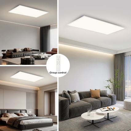 BRILAGI - SLIMFRAME LED-hämardatav laelamp LED/80W/230V 120x60 cm 3000-6000K valge + kaugjuhtimispult