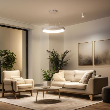 BRILAGI - LED hämardatav rippvalgusti kaablil FALCON II LED/99W/230V 3000-6500K läbimõõt 60 cm valge + kaugjuhtimispult