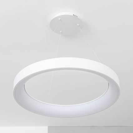 BRILAGI - LED hämardatav rippvalgusti kaablil FALCON II LED/99W/230V 3000-6500K läbimõõt 60 cm valge + kaugjuhtimispult