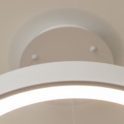 BRILAGI - LED hämardatav rippvalgusti kaablil FALCON II LED/99W/230V 3000-6500K läbimõõt 60 cm valge + kaugjuhtimispult