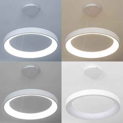 BRILAGI - LED hämardatav rippvalgusti kaablil FALCON II LED/99W/230V 3000-6500K läbimõõt 60 cm valge + kaugjuhtimispult