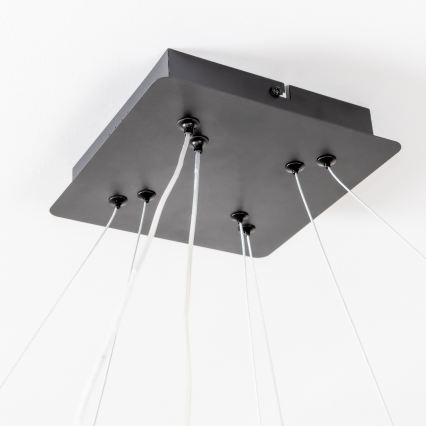 Brilagi - LED hämardatav kaablil riputatav rippvalgusti FALCON SLIM LED/78W/230V 3000-6500K 50x50 cm must + kaugjuhtimispult