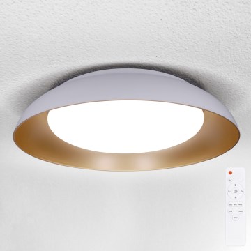 Brilagi - Hämardatav LED-laelamp ALVA LED/48W/230V 3000-6500K Ø 51 cm valge + kaugjuhtimispult