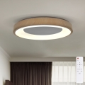 BRILAGI - Hämardatav LED-laelamp DORIA LED/60W/230V 3000–6500 K Ø 60 cm + kaugjuhtimispult