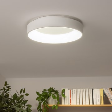 Brilagi - hämardatav LED-laelamp FALCON LED/40W/230V 3000-6500K Ø 45 cm valge + kaugjuhtimispult