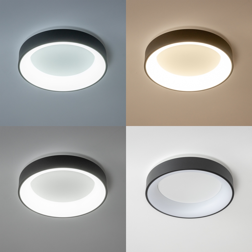 Brilagi - LED hämardatav laelamp FALCON LED/80W/230V 3000-6500K läbimõõt 60 cm must + kaugjuhtimispult