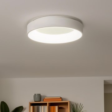 Brilagi - hämardatav LED-laelamp FALCON LED/80W/230V 3000-6500K läbimõõt 60 cm valge + kaugjuhtimispult
