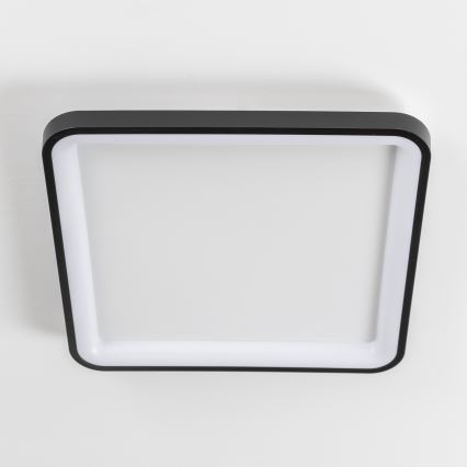 Brilagi - LED hämardatav laevalgusti FALCON SLIM LED/50W/230V 3000-6500K 50x50 cm must + kaugjuhtimispult