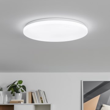 Brilagi - hämardatav LED-laelamp PINE LED/24W/230V, läbimõõt 42 cm, 3000-6500K + kaugjuhtimispult