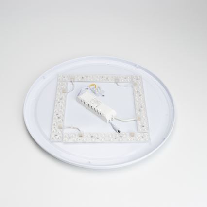 Brilagi - Hämardatav LED-laelamp PINE LED/60W/230V puit, läbimõõt 52 cm 3000-6500K + kaugjuhtimispult