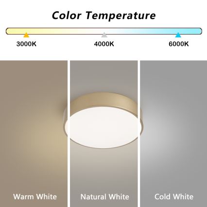 BRILAGI - LED hämardatav laevalgusti POOL LED/24W/230V 3000–6000K läbimõõt 20 cm kuldne + kaugjuhtimispult