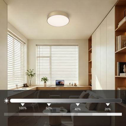 BRILAGI - LED hämardatav laevalgusti POOL LED/24W/230V 3000–6000K läbimõõt 20 cm kuldne + kaugjuhtimispult