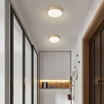 BRILAGI - LED hämardatav laevalgusti POOL LED/24W/230V 3000–6000K läbimõõt 20 cm kuldne + kaugjuhtimispult