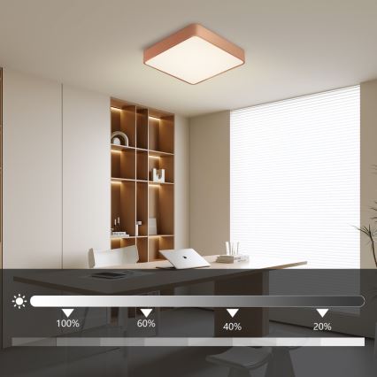 BRILAGI - LED hämardatav laelamp POOL SQUARE LED/36W/230V 3000-6000K 40x40 cm vasest + kaugjuhtimispult