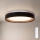 Brilagi - Hämardatav LED-laelamp WALDO LED/48W/230V 3000-6500K läbimõõt 40 cm must/kuldne + kaugjuhtimispult