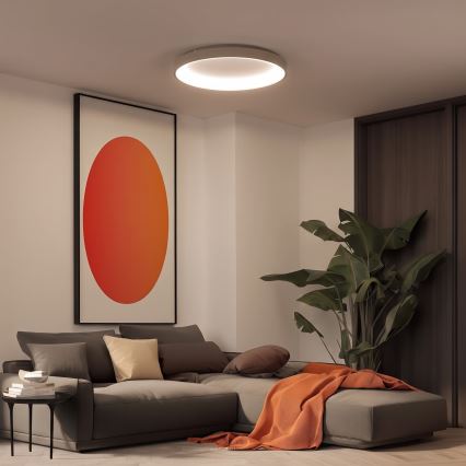 BRILAGI - LED-hämardatav laelamp FALCON II LED/108W/230V 3000-6500K läbimõõt 80 cm valge/beež + kaugjuhtimispult