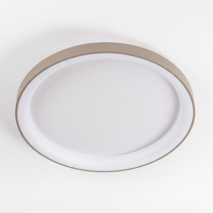 BRILAGI - LED-hämardatav laelamp FALCON II LED/108W/230V 3000-6500K läbimõõt 80 cm valge/beež + kaugjuhtimispult