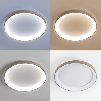 BRILAGI - LED-hämardatav laelamp FALCON II LED/108W/230V 3000-6500K läbimõõt 80 cm valge/beež + kaugjuhtimispult