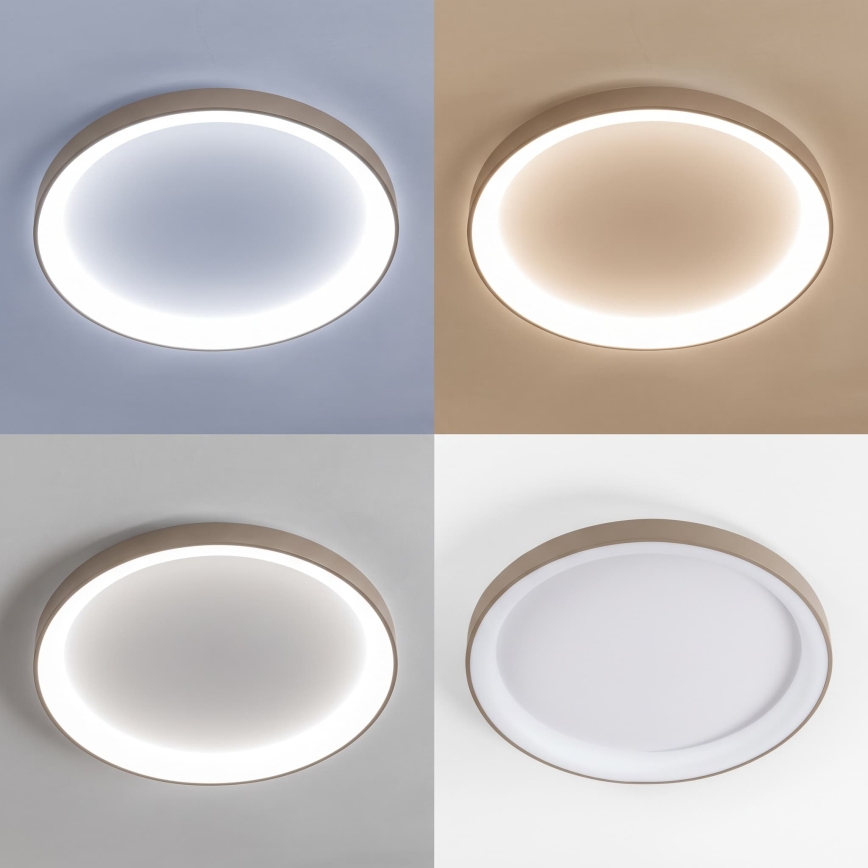 BRILAGI - LED-hämardatav laelamp FALCON II LED/108W/230V 3000-6500K läbimõõt 80 cm valge/beež + kaugjuhtimispult