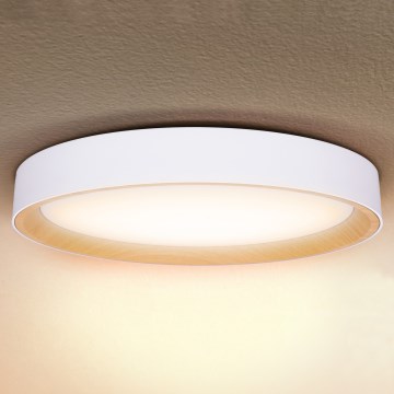Brilagi - Hämardatav LED-laevalgusti LARIOS LED/72W/230V valge, läbimõõt 59 cm + kaugjuhtimispult