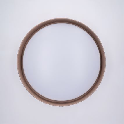 Brilagi - LED hämardatav laelamp LUCIA LED/48W/230V 3000-6500K läbimõõt 41 cm taupe + kaugjuhtimispult