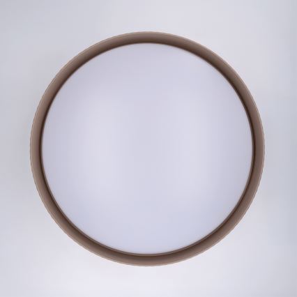 Brilagi - Hämardatav LED-laelamp LUCIA LED/60W/230V 3000–6500K, läbimõõt 59 cm, taupe + kaugjuhtimispult