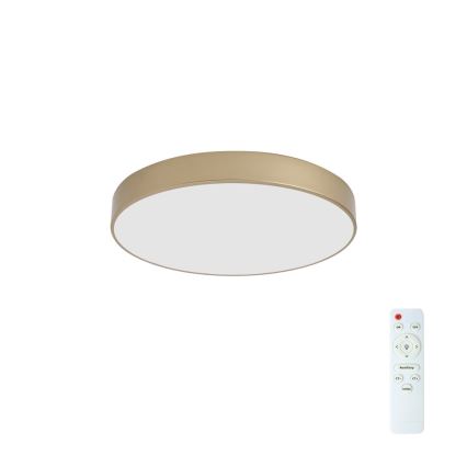 BRILAGI - LED-hämardatav laelamp POOL LED/60W/230V 3000-6000K läbimõõt 50 cm kuldne + kaugjuhtimispult