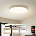 Brilagi - Hämardatav LED laevalgusti POOL SMART LED/60W/230V 3000-6000K läbimõõduga 50 cm Wi-Fi Tuya beež + kaugjuhtimispult