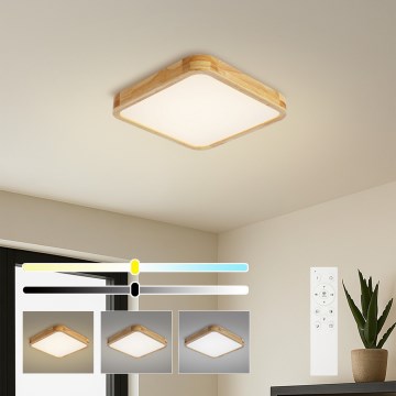 BRILAGI - Hämardatav LED laevalgusti WOODLINE SQUARE LED/48W/230V 3000-6000K tamm 40x40 cm + kaugjuhtimispult