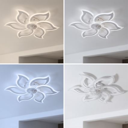 Brilagi - LED-hämardatav laeventilaator, LED/34W/230V, läbimõõt 83 cm, valge + kaugjuhtimispult