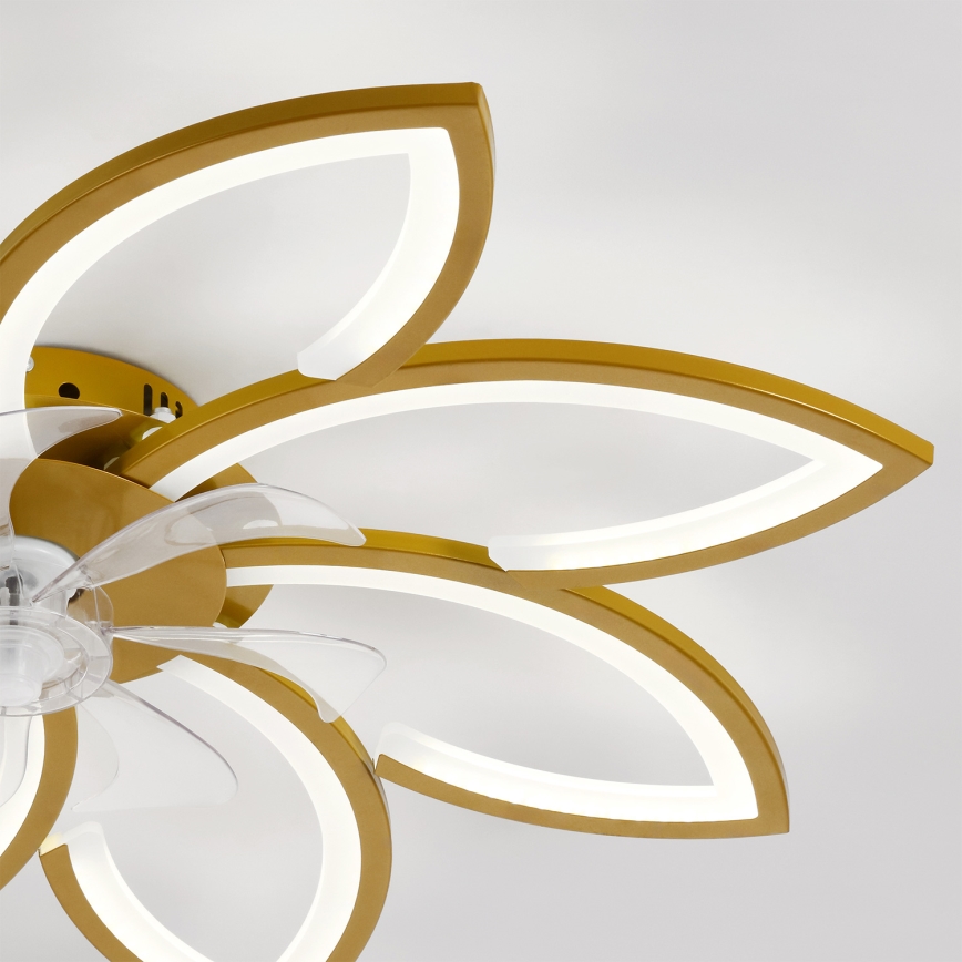 Brilagi - LED hämardatav laeventilaator LED/43W/230V 3000-6500K läbimõõt 90 cm kuldne + kaugjuhtimispult