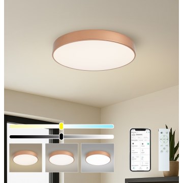 BRILAGI - Hämardatav LED lakkevalgusti POOL SMART LED/60W/230V 3000-6000K, läbimõõt 50 cm, Wi-Fi Tuya, pronks + kaugjuhtimispult