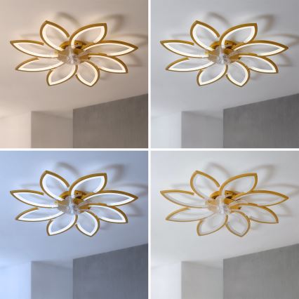 Brilagi - LED-hämardatav laeventilaator LED/43W/230V läbimõõt 90 cm kuldne + kaugjuhtimispult