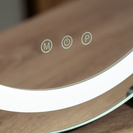 BRILAGI - LED-hämardatav meigipeegel CALIFORNIA LED/17W/230V 3000/4000/6500K läbimõõt 42 cm must