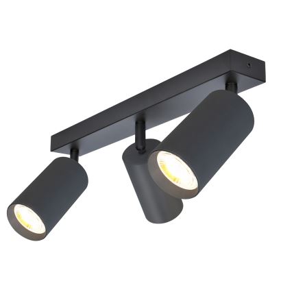 Brilagi - LED RGBW hämardatav spottvalgusti SELE 3xGU10/4,8W/230V 3000K antratsiit + kaugjuhtimispult