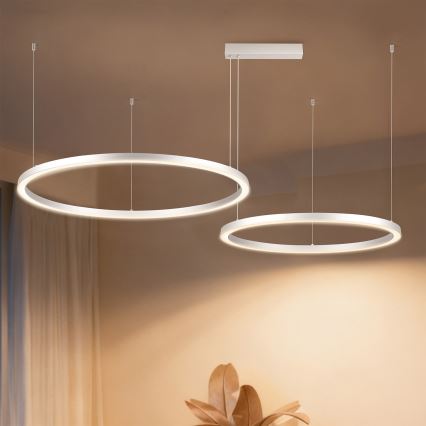 Brilagi - hämardatav LED-rippvalgusti kaablil PORTOFINO LED/98W/230V 3000-6000K hõbedane + kaugjuhtimispult