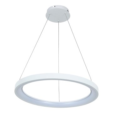 Brilagi - Hämardatav LED-ripplamp kaabliga FALCON SLIM LED/42W/230V 3000-6500K läbimõõt 50 cm valge + kaugjuhtimispult