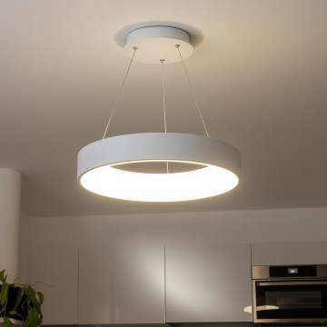 Brilagi - hämardatav LED-ripplamp kaablil FALCON LED/80W/230V 3000-6500K läbimõõt 60 cm valge + kaugjuhtimispult