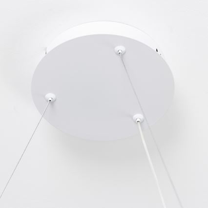 Brilagi - Hämardatav LED-rippvalgusti kaabliga FALCON SLIM LED/42W/230V 3000-6500K läbimõõt 50 cm valge + kaugjuhtimispult