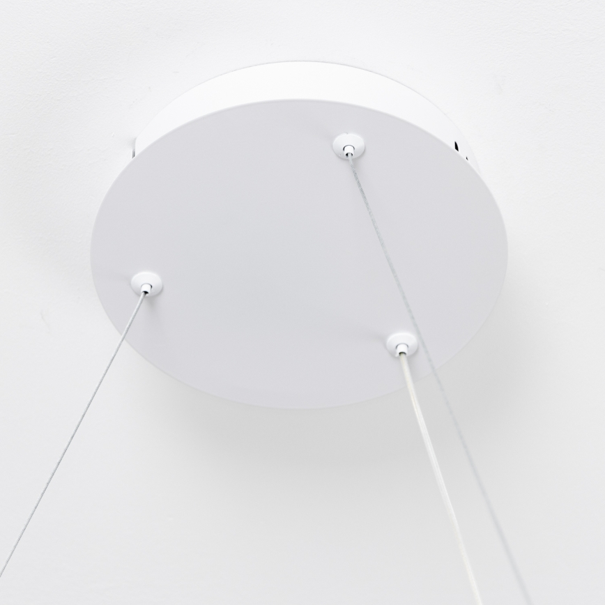 Brilagi - Hämardatav LED-rippvalgusti kaabliga FALCON SLIM LED/42W/230V 3000-6500K läbimõõt 50 cm valge + kaugjuhtimispult