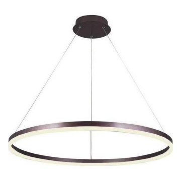 Brilagi - hämardatav LED-ripplühter kaablil CIRCLE LED/55W/230V 3000-6500K läbim. 80 cm pruun + kaugjuhtimispult
