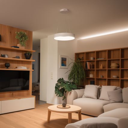 Brilagi - LED-hämardatav ripplühter kaablile FALCON II LED/67W/230V 3000-6500K läbimõõt 40 cm valge + kaugjuhtimispult