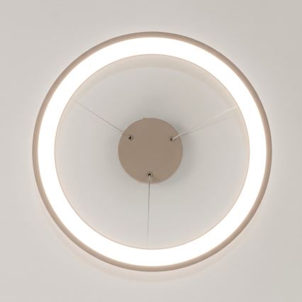 BRILAGI - LED hämardatav rippvalgusti kaabliga FALCON SLIM LED/42W/230V 3000-6500K läbimõõt 50 cm beež + kaugjuhtimispult