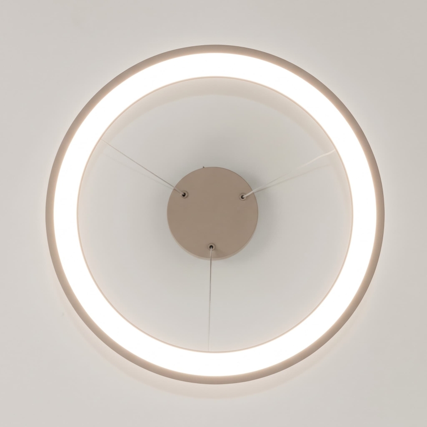 BRILAGI - LED hämardatav rippvalgusti kaabliga FALCON SLIM LED/42W/230V 3000-6500K läbimõõt 50 cm beež + kaugjuhtimispult