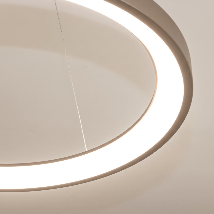 BRILAGI - LED hämardatav rippvalgusti kaabliga FALCON SLIM LED/42W/230V 3000-6500K läbimõõt 50 cm beež + kaugjuhtimispult