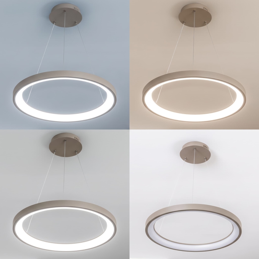 BRILAGI - LED hämardatav rippvalgusti kaabliga FALCON SLIM LED/42W/230V 3000-6500K läbimõõt 50 cm beež + kaugjuhtimispult