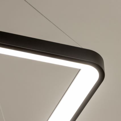 Brilagi - LED hämardatav kaabliga riputatav lühter FALCON SLIM LED/50W/230V 3000-6500K 50x50 cm must + kaugjuhtimispult