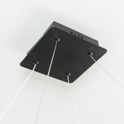 Brilagi - LED hämardatav kaabliga riputatav lühter FALCON SLIM LED/50W/230V 3000-6500K 50x50 cm must + kaugjuhtimispult