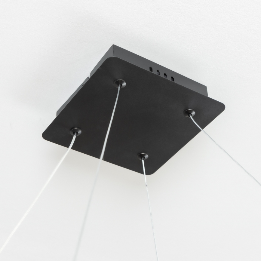 Brilagi - LED hämardatav kaabliga riputatav lühter FALCON SLIM LED/50W/230V 3000-6500K 50x50 cm must + kaugjuhtimispult